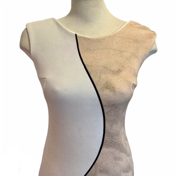 AKRIS PUNTO 2015 Fall Print Sleeveless Wear Sz 8 - Picture 5 of 12